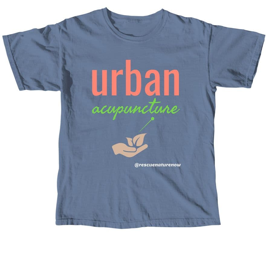 What Is Urban Acupuncture?